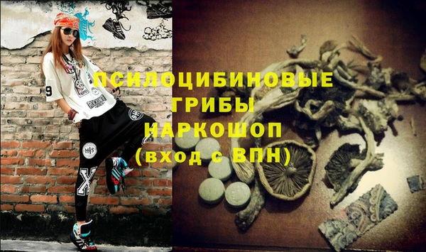 spice Аркадак