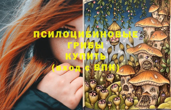 бошки Арсеньев