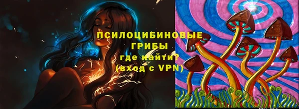 spice Аркадак